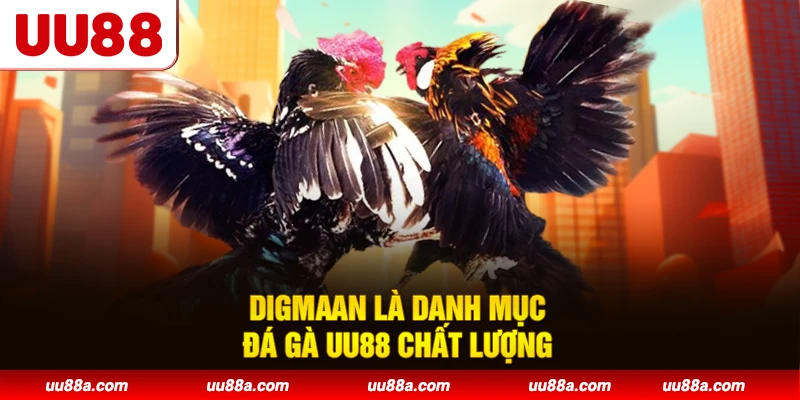 DIGMAAN là danh mục đá gà UU88 chất lượng