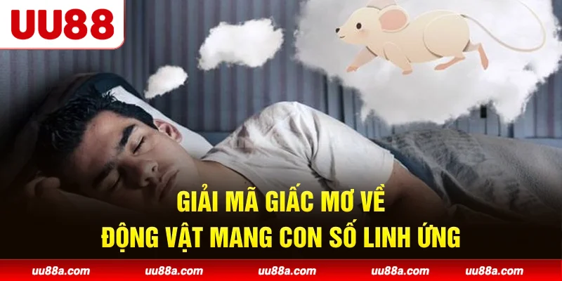 Giải mã giấc mơ về động vật mang con số linh ứng