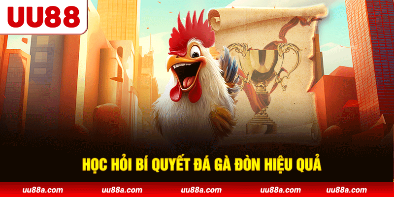 Học hỏi bí quyết đá gà đòn hiệu quả