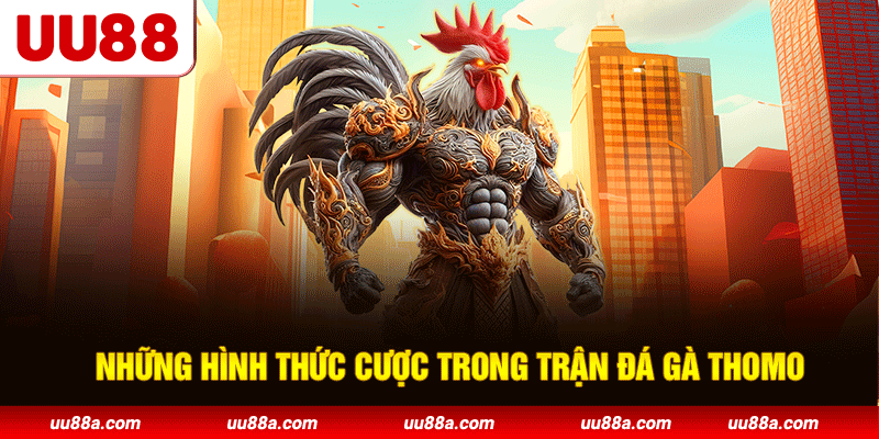 Các loại kèo cược phổ biến trong đá gà Thomo