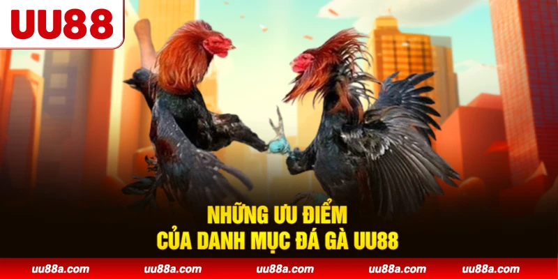 Những ưu điểm của danh mục đá gà UU88
