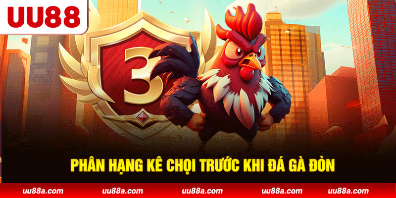 Phân hạng kê chọi trước khi đá gà đòn