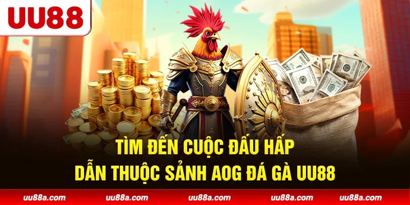 Tìm đến cuộc đấu hấp dẫn thuộc sảnh AOG Đá Gà UU88